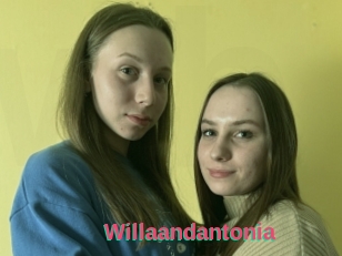 Willaandantonia